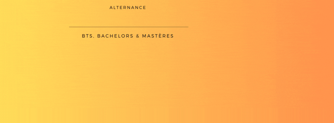 Image pour illustrer Mastere-Profil-Manager